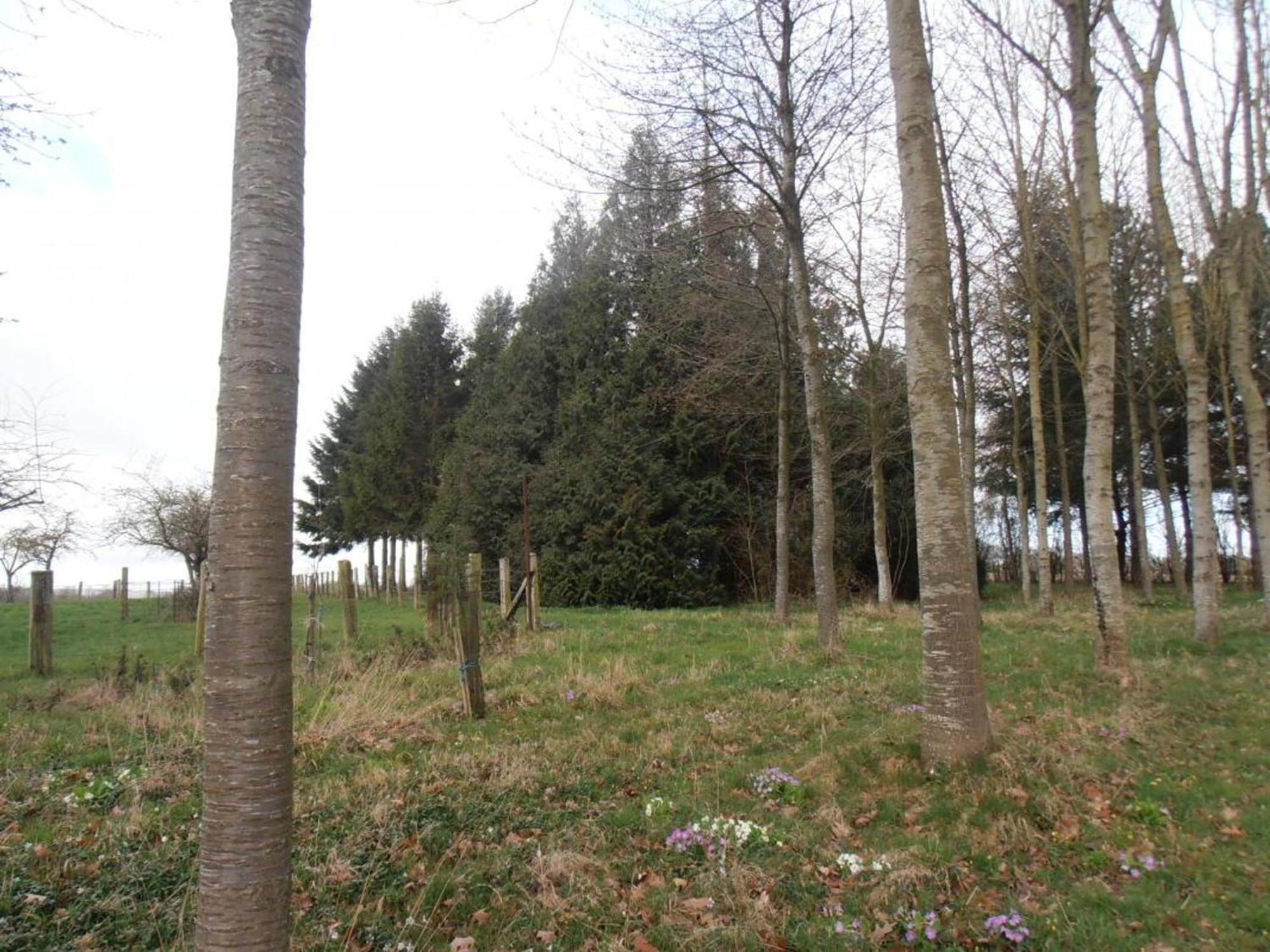 Maison De Charme Avec Grand Jardin, Proche Haras Du Pin, Animaux Acceptes, Ideale Pour Familles - Fr-1-497-5 Saint-Pierre-la-Riviere Exteriér fotografie